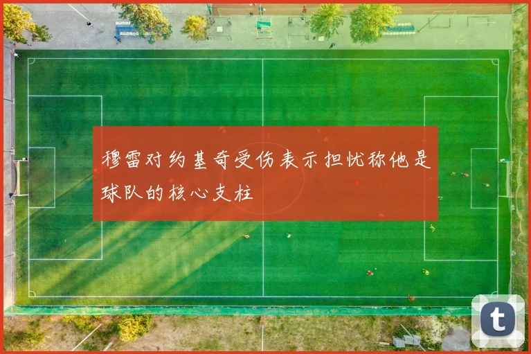 穆雷对约基奇受伤表示担忧称他是球队的核心支柱