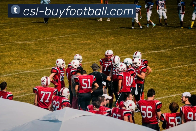 中超买球官网平台生态图